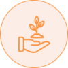 Focus Icon